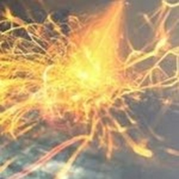 Meet your Posher, Rachel - Picture 1 of 1